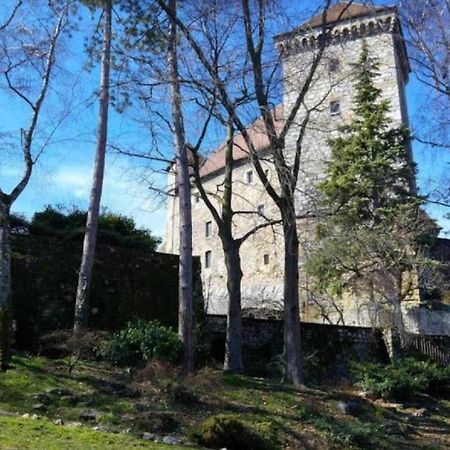 Lodge & Castle - Vue Chateau - Climatisation - Majord'Home 阿讷西 外观 照片