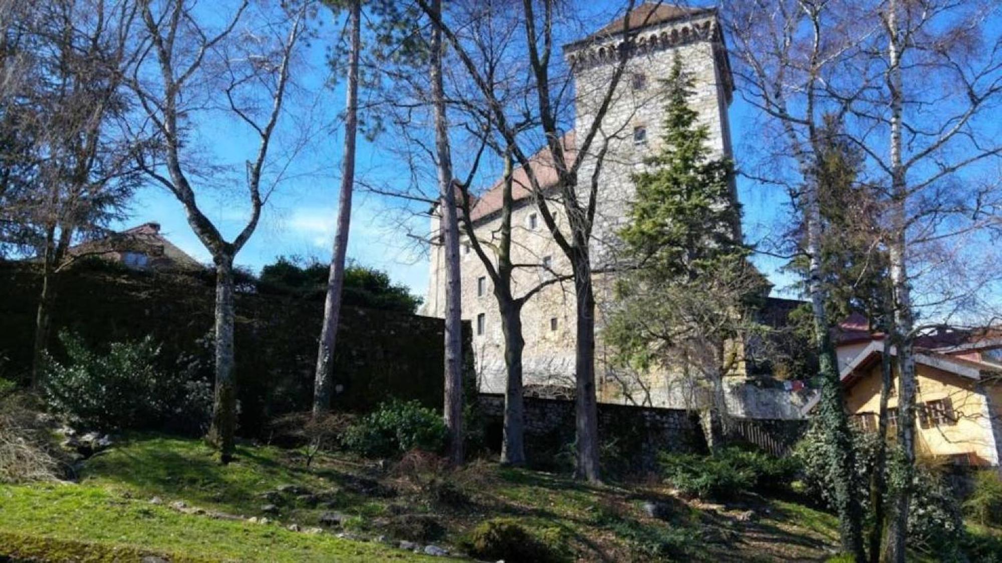 Lodge & Castle - Vue Chateau - Climatisation - Majord'Home 阿讷西 外观 照片